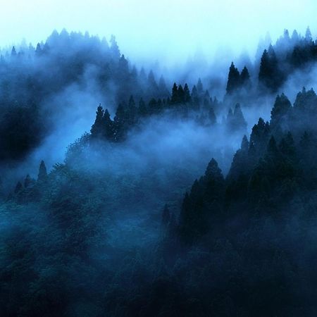 "Mount'N Mist" Διαμέρισμα Ella Εξωτερικό φωτογραφία