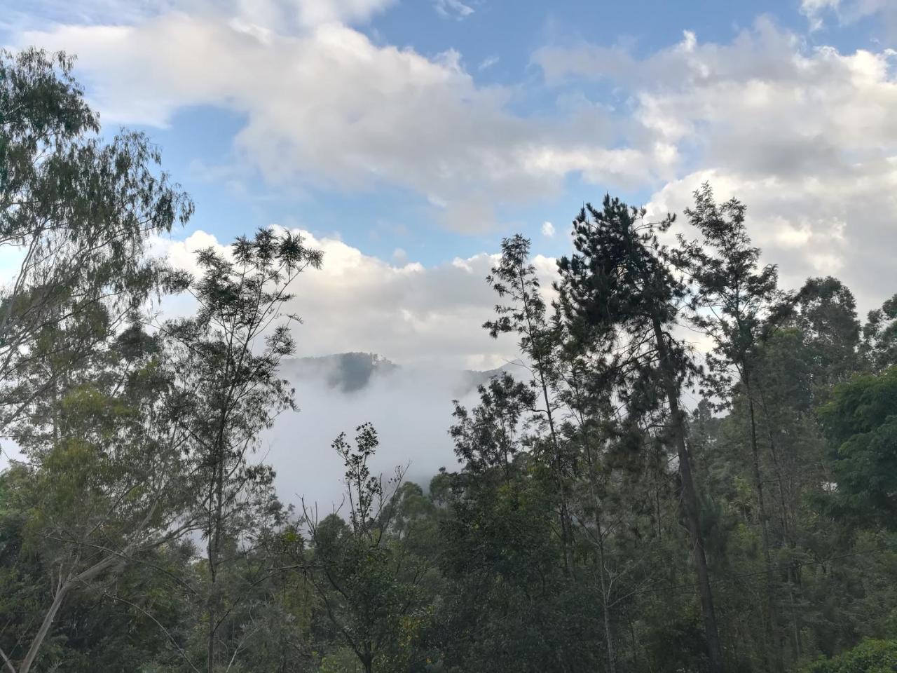 "Mount'N Mist" Διαμέρισμα Ella Εξωτερικό φωτογραφία