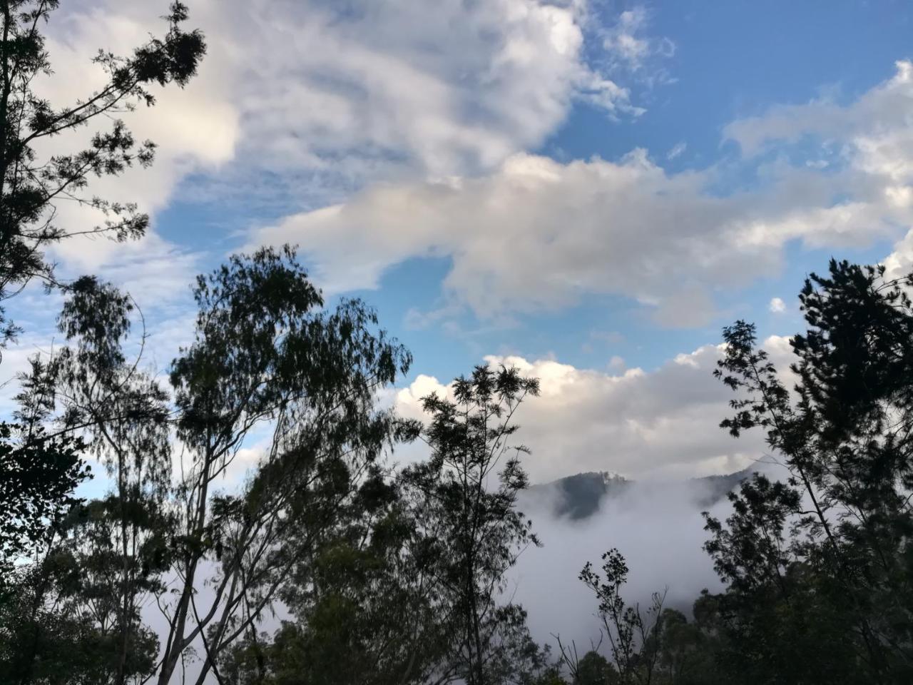 "Mount'N Mist" Διαμέρισμα Ella Εξωτερικό φωτογραφία