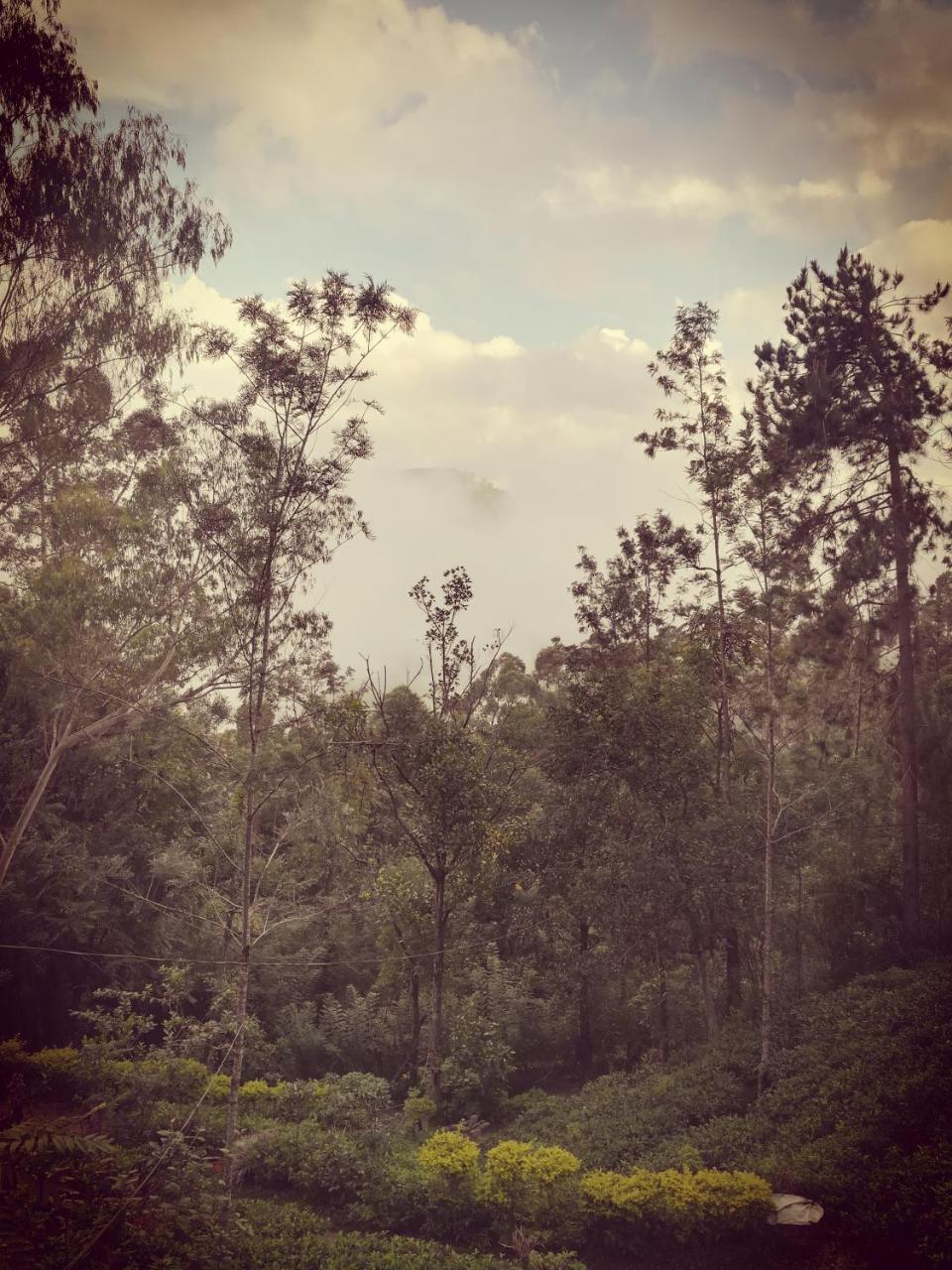 "Mount'N Mist" Διαμέρισμα Ella Εξωτερικό φωτογραφία