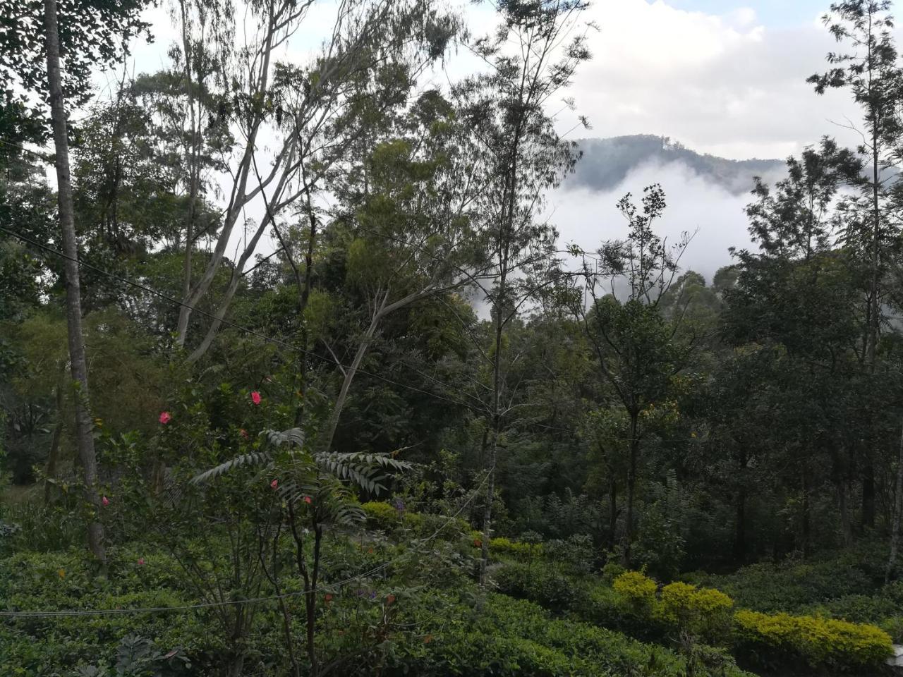 "Mount'N Mist" Διαμέρισμα Ella Εξωτερικό φωτογραφία